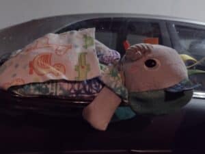 Picture of lovey bed for the car on a window