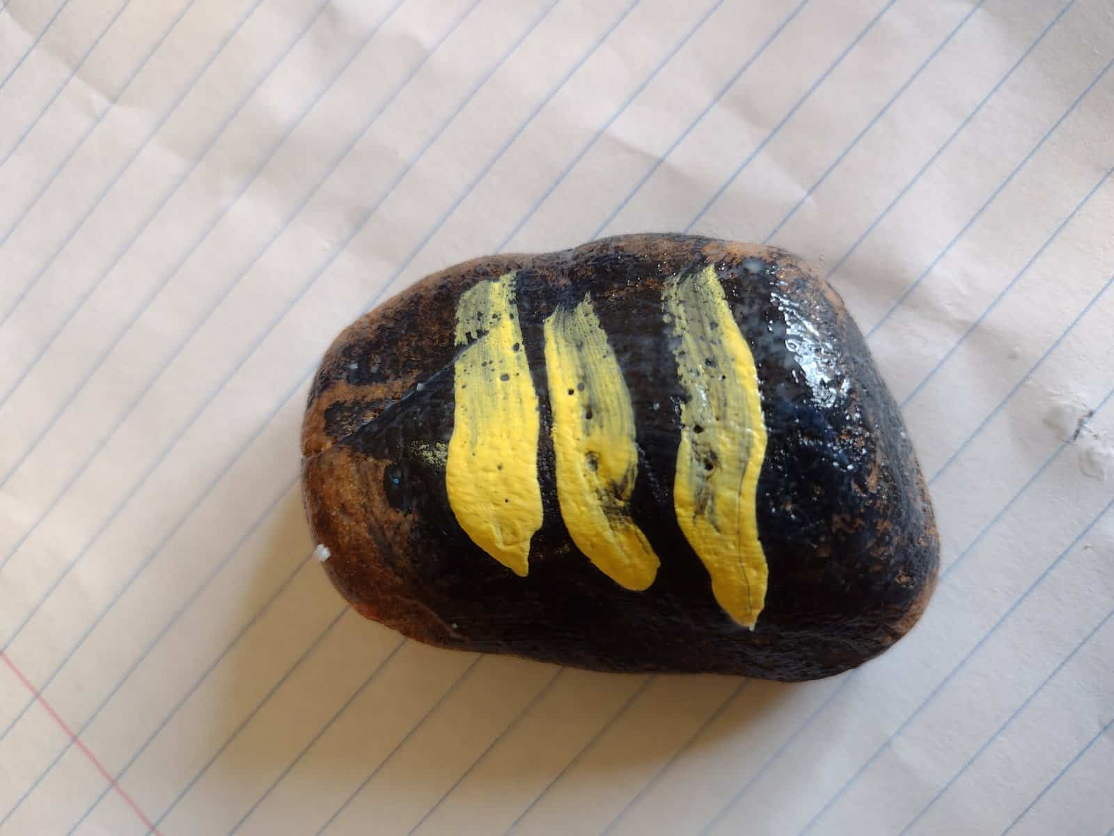 Picture of preschooler painted bee rock with wet hydrochromic paint on it