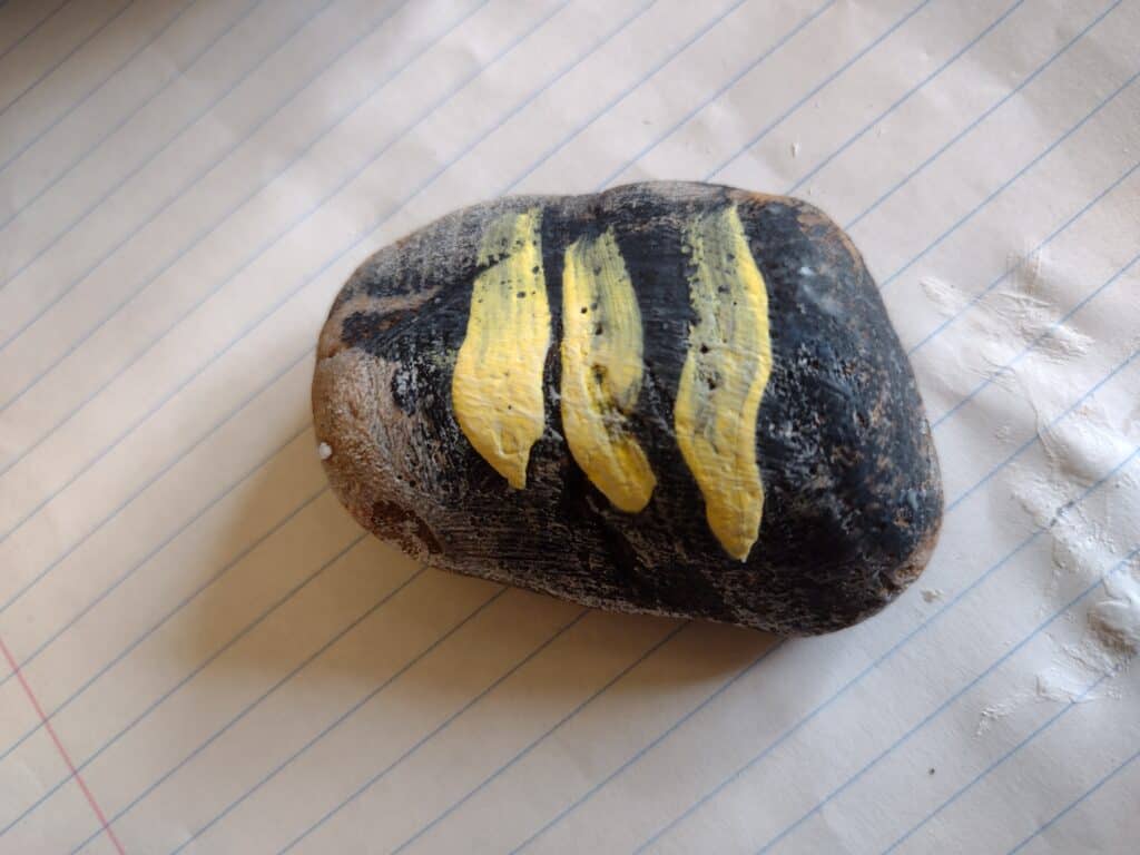 Picture of preschooler painted bee rock with drying hydrochromic paint just starting to turn white on it