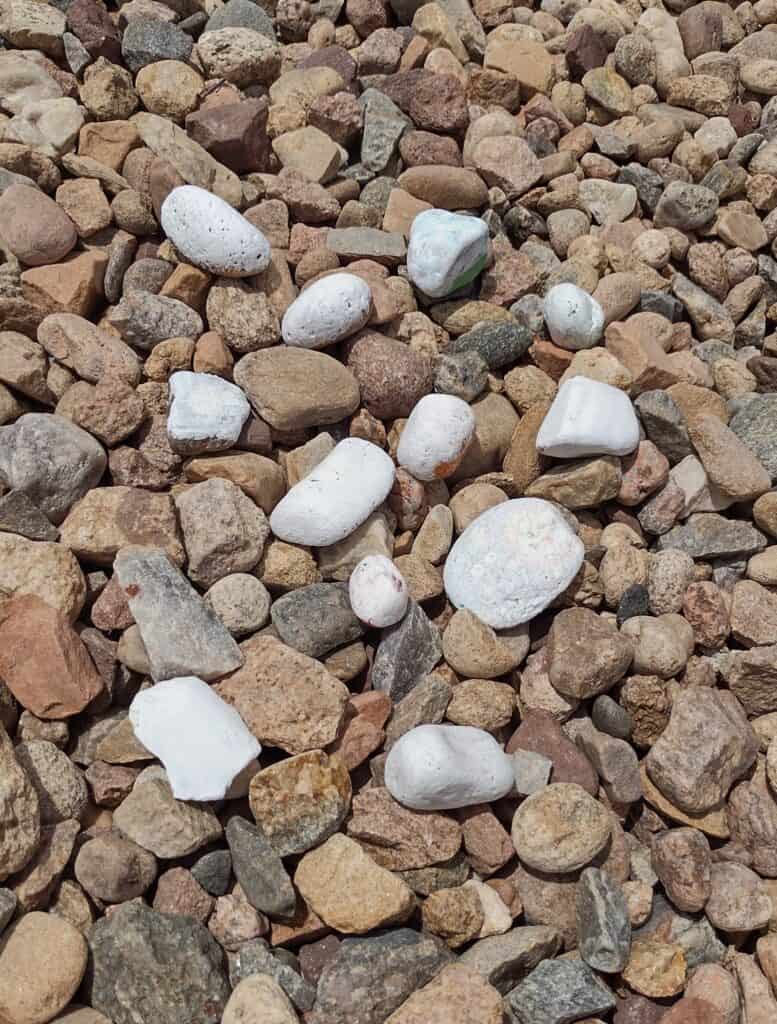 Picture of dry secret image painted rocks that show as white