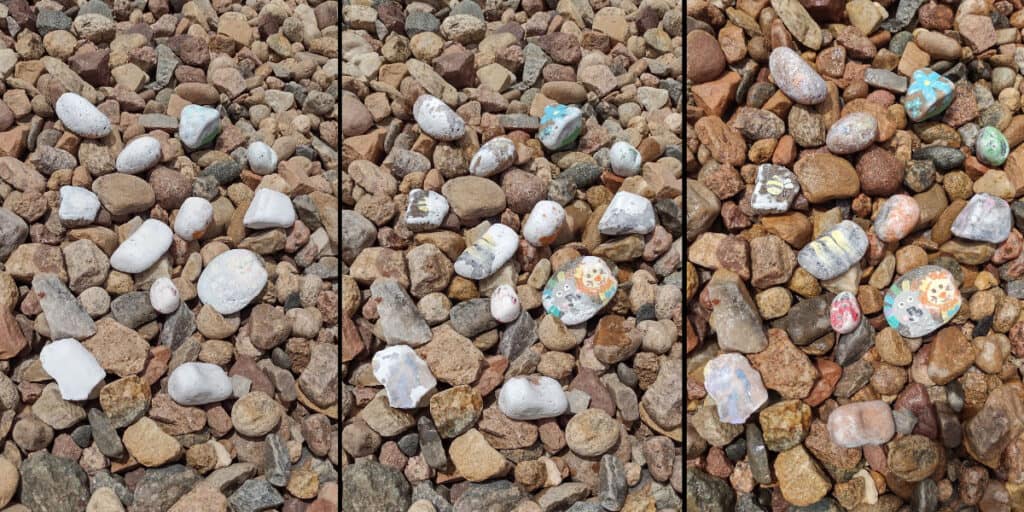 Three pictures of hydrochromic rock painting. Left picture the rocks are dry and white. Middle pictures the rocks are slightly wet and you can start to see the images underneath. Right picture the rocks are wet and the images are fully revealed
