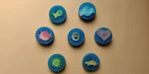 Picture of handmade stamps including a fish, elephant lovey, cat, smiley face, heart, sun, and car.