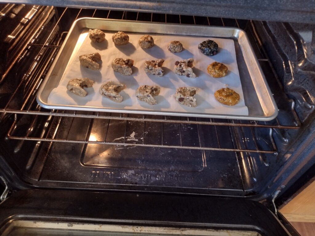Picture of owl shaped, plain, orange, and black oatmeal cookies baking in the oven