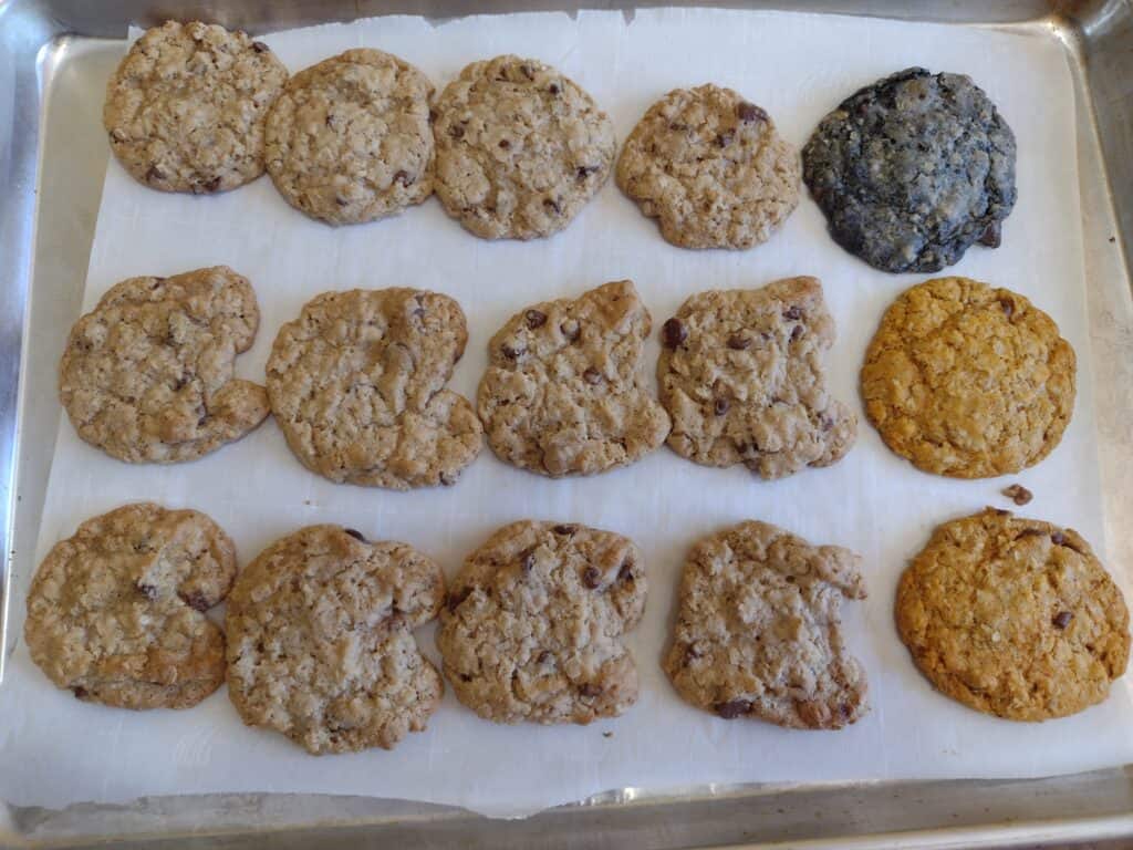 Picture of oatmeal cookies. Some are plain, owl shaped, orange, and black