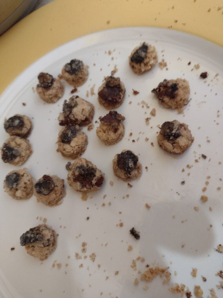 Picture of eyes made out of oatmeal cookies