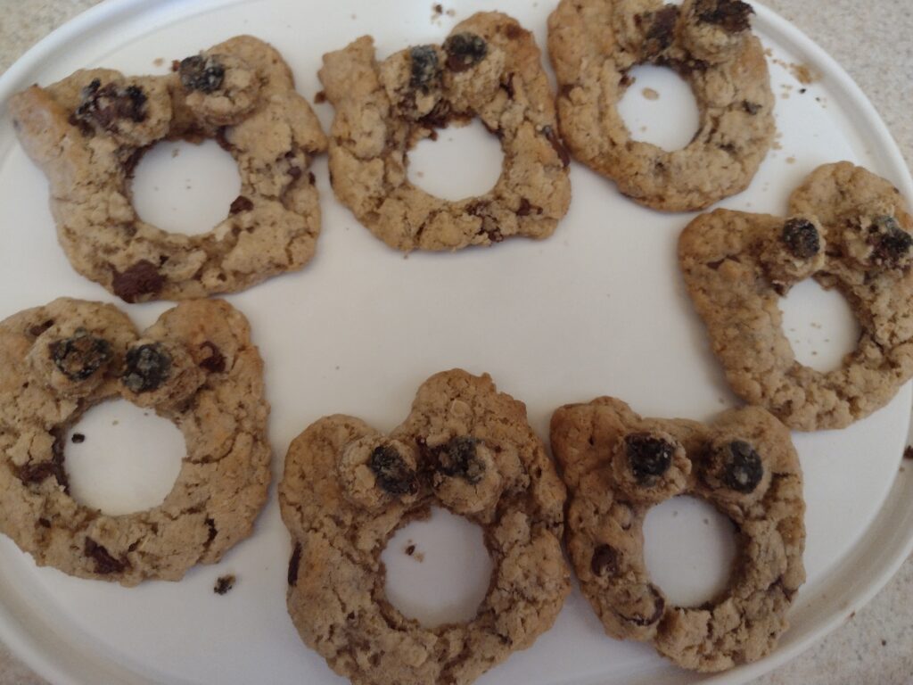 Picture of O is for owl craft cookies with eyes