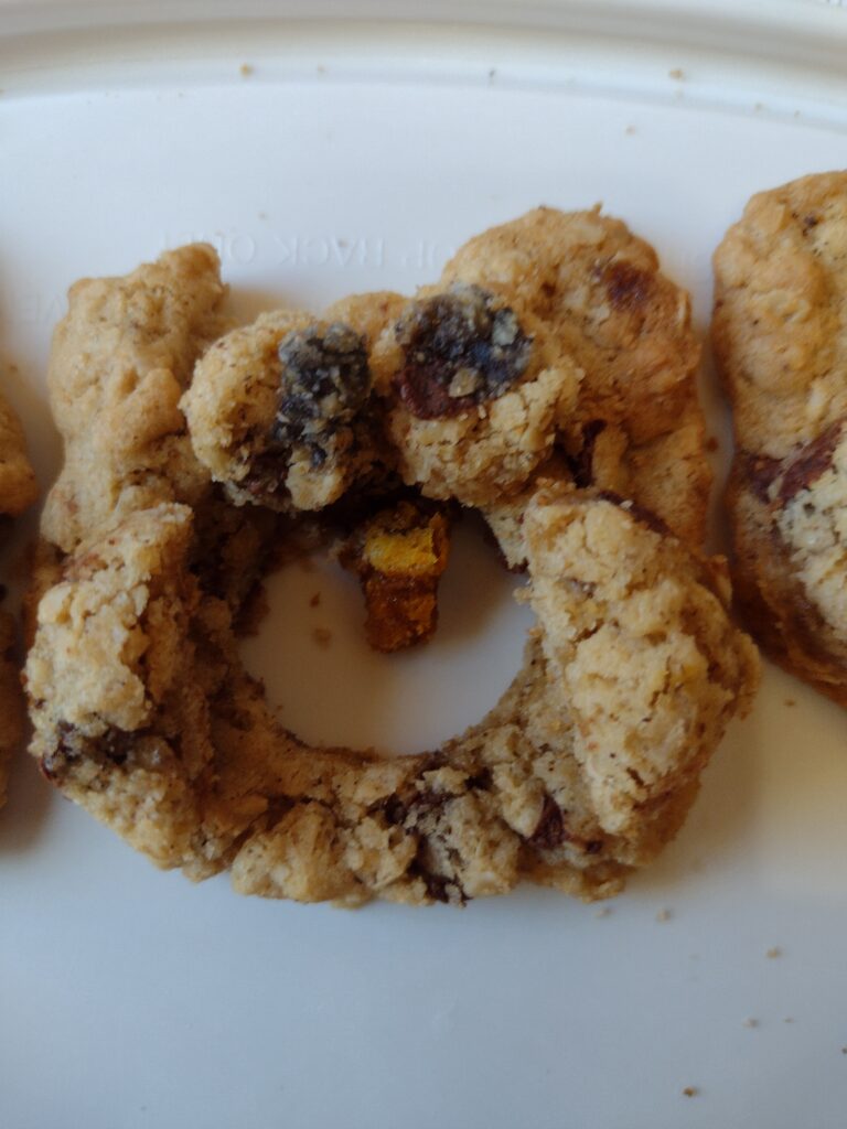 Closeup picture of an O is for owl craft made from an oatmeal cookie