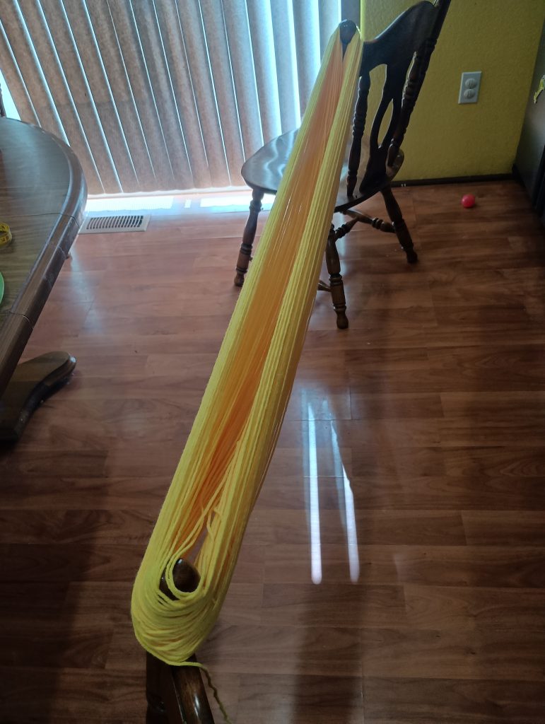 Picture of an entire skein of yellow yarn looped around two chairs